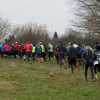 KaeseschenkenlaufPic11.jpg